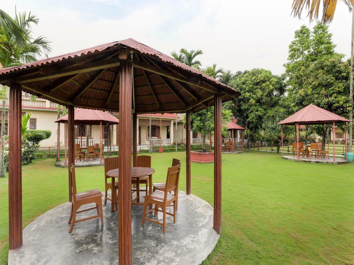 Hotel Wildlife Camp Sauraha Ngoại thất bức ảnh