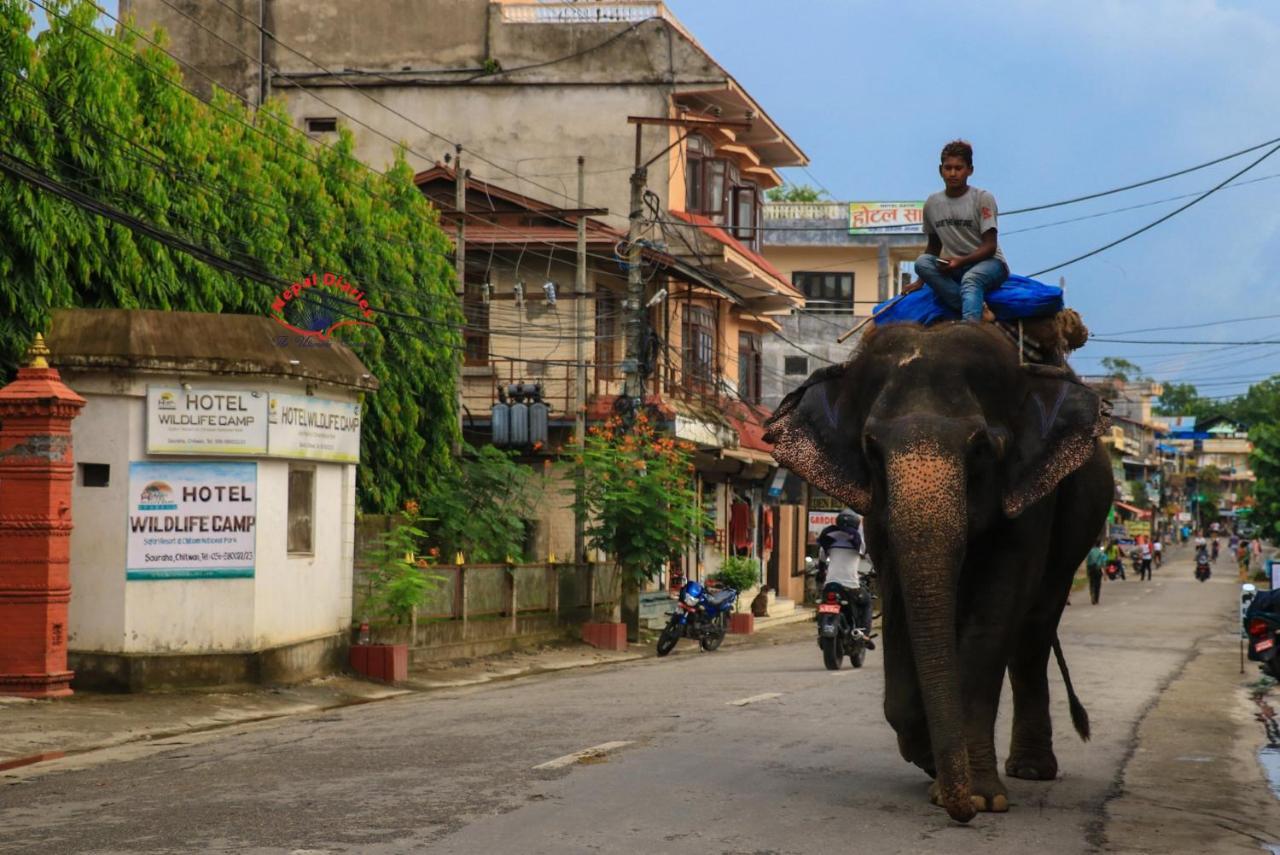 Hotel Wildlife Camp Sauraha Ngoại thất bức ảnh